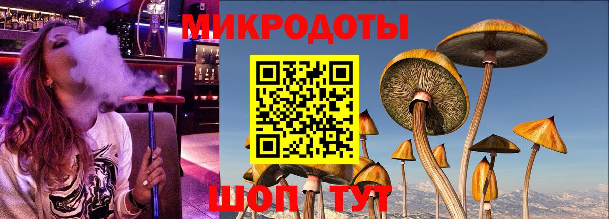 Галлюциногенные грибы мицелий  Вход с VPN  Галлюциногенные грибы Psilocybine cubensis  Курчалой 