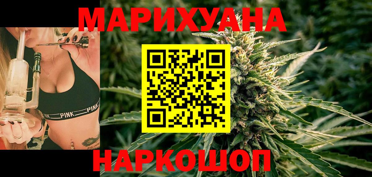Конопля индика Курчалой